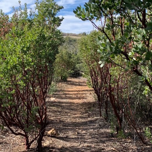 Walking Trail